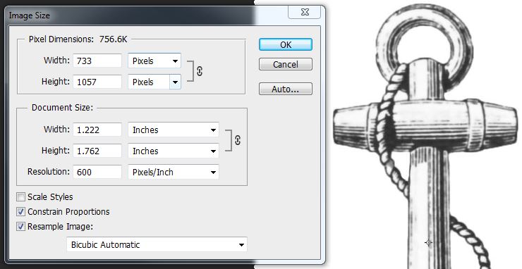 image size for downloaded image